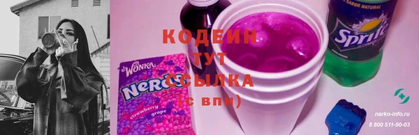 дживик Богородицк