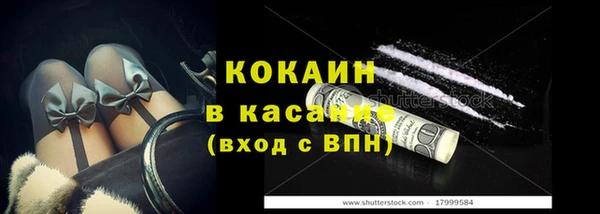 дживик Богородицк