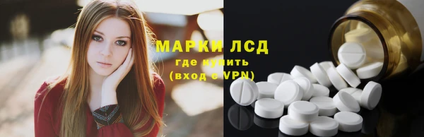 дживик Богородицк