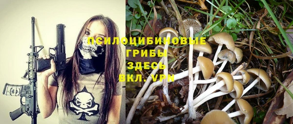 меф Богданович