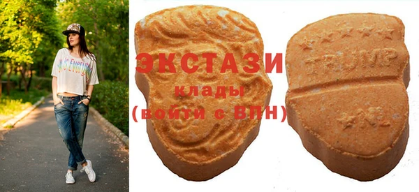 дживик Богородицк
