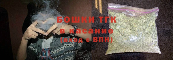 дживик Богородицк