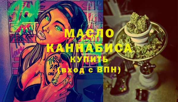 дживик Богородицк