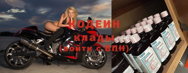 дживик Богородицк
