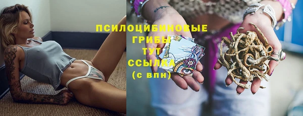 ALPHA PVP Усмань